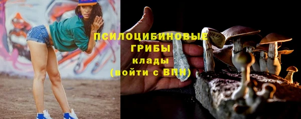 бутират Струнино