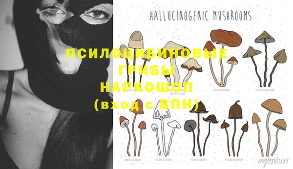 шишки Строитель