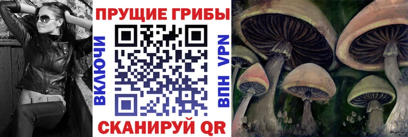 Галлюциногенные грибы Magic Shrooms  Купить  Яровое 