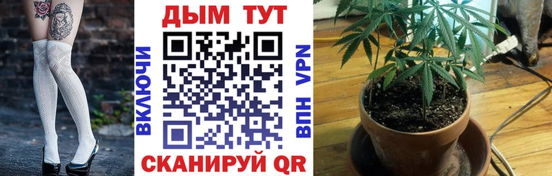 Конопля индика  Купить  Яровое 